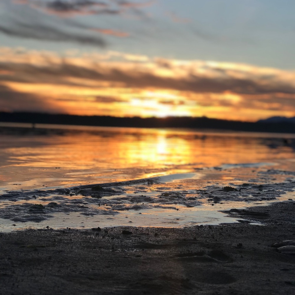 Meet your Posher, Sydney